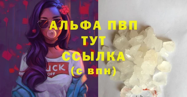 дмт Нея