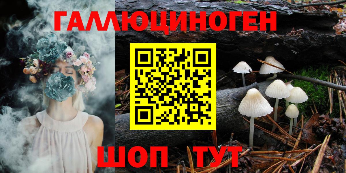 А ПВП Минусинск